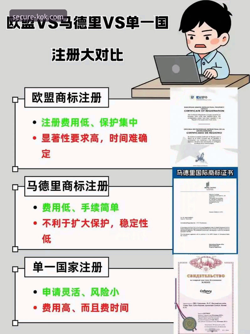官方入口vs风险链接：KOK中欧注册安全通道全面对比
